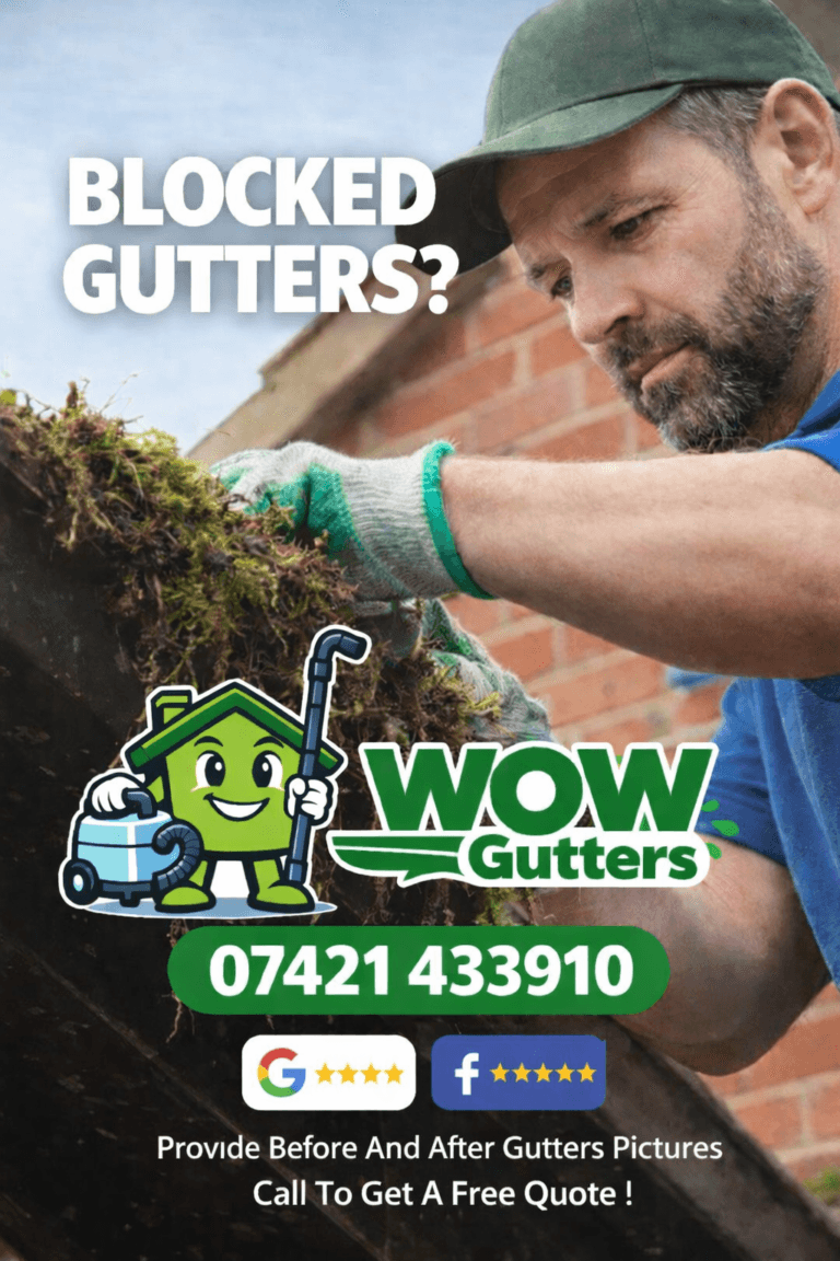 Gutter Cleaning Gutter Cleaning