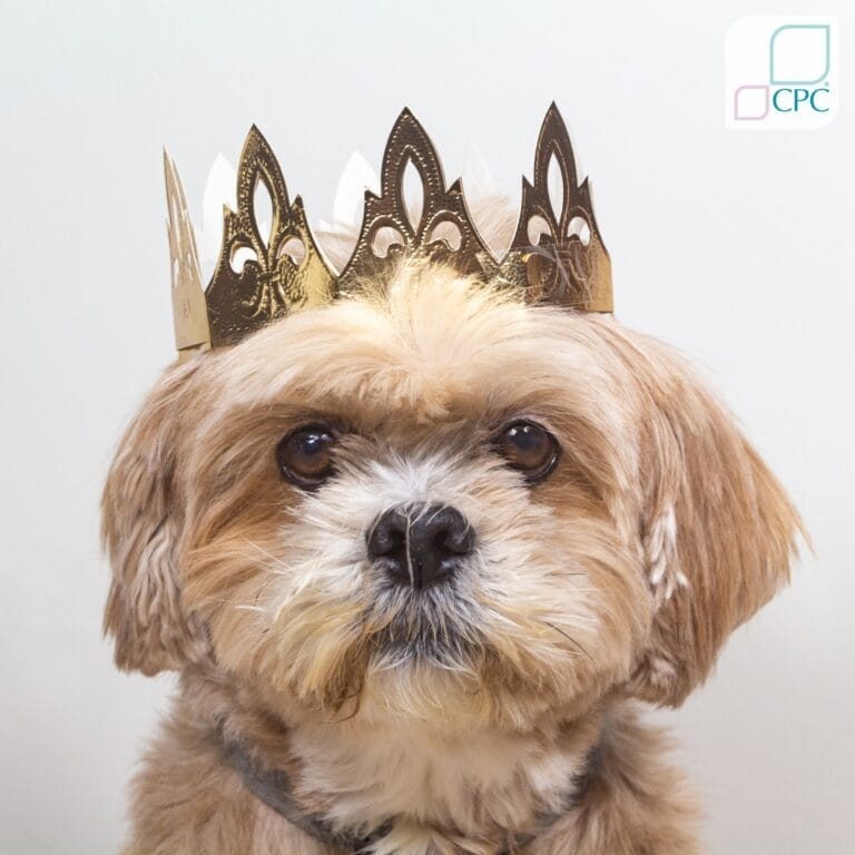 341358889 934864927820878 2144100195494432576 n 5 768x768