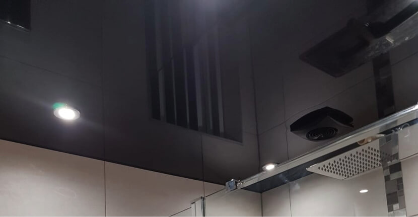 Bathroom Ceilings