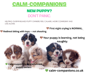 Brown Bold Corporate National Puppy Day Facebook Post1
