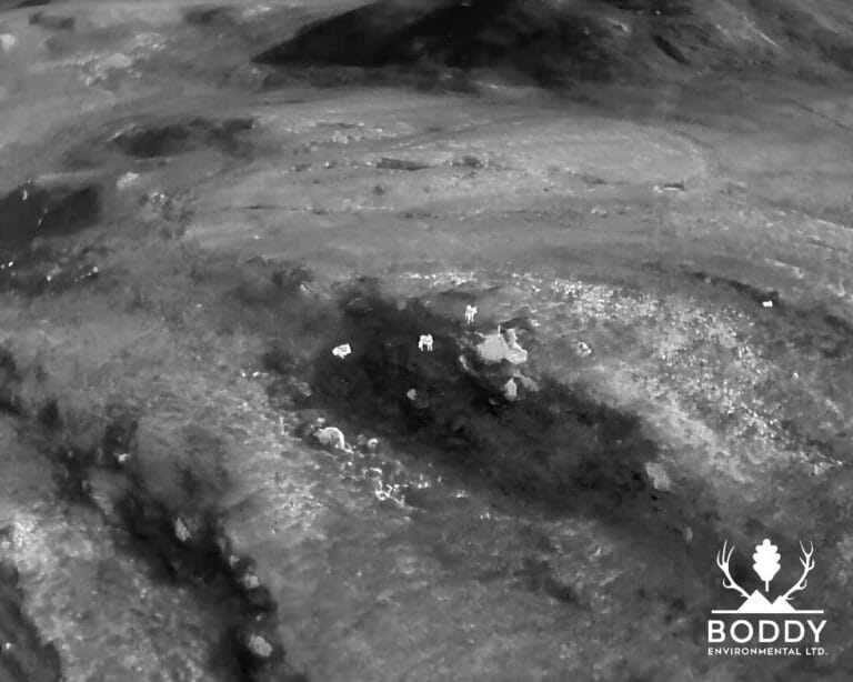 DJI 20240603184042 0005 T jpg 768x614