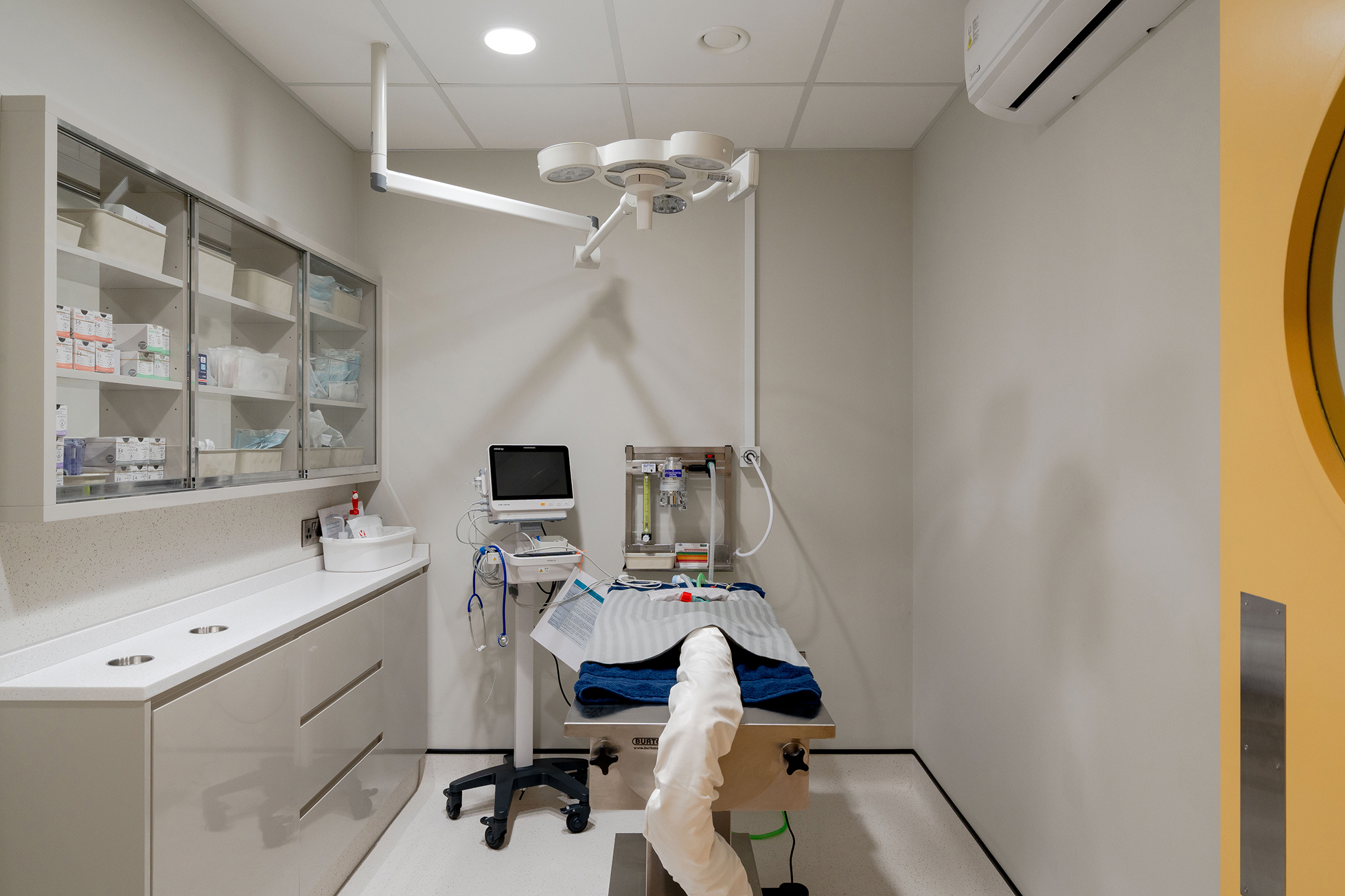 Hello Vet Bushey Vet Room
