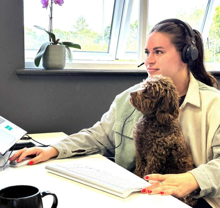Lucia Dog Office 768x728