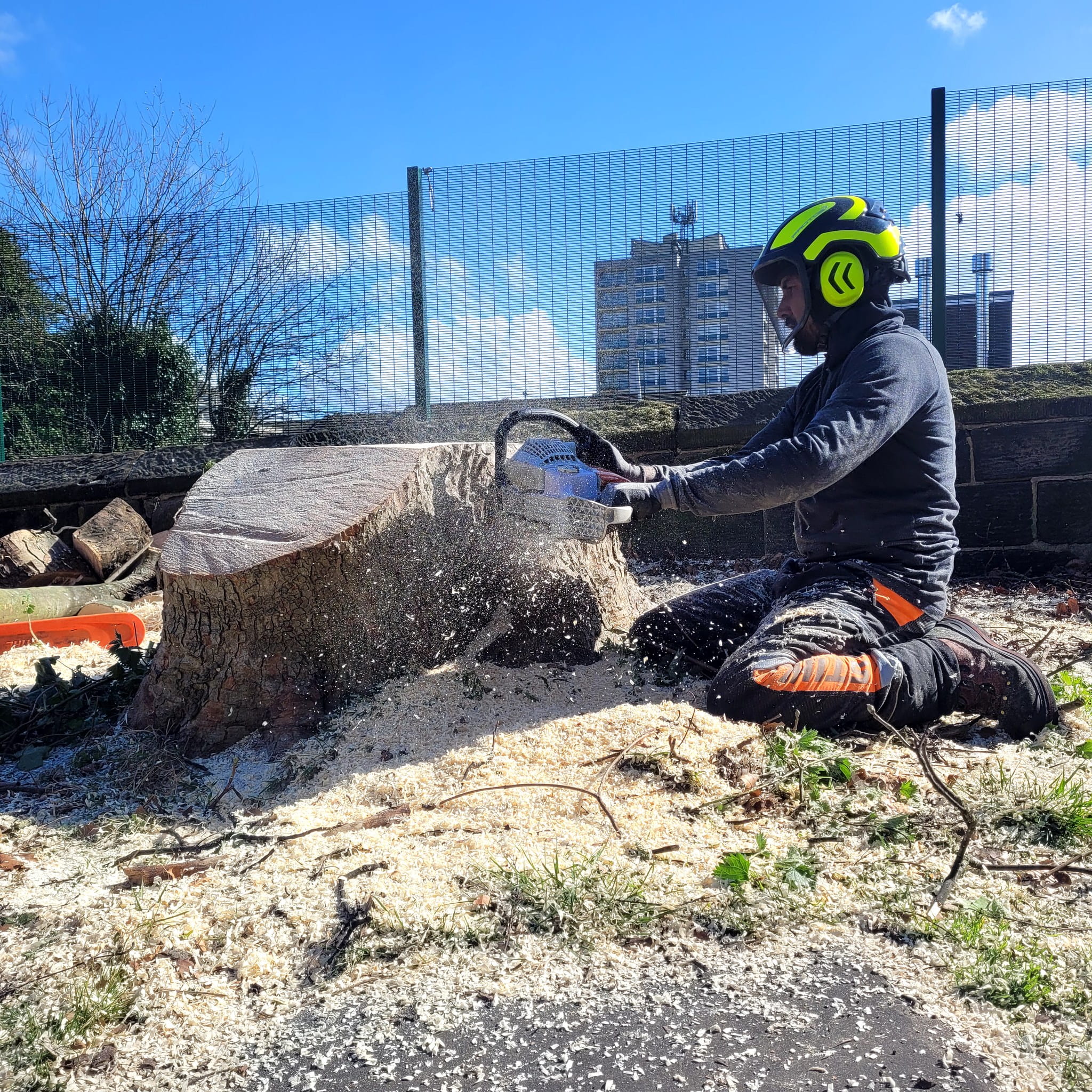 Tree Surgeons Leeds 04