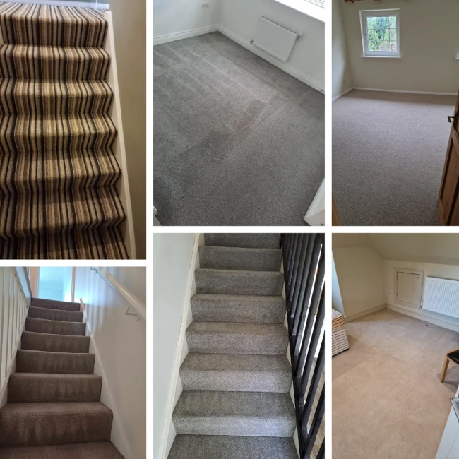 carpetcleaningmanchester