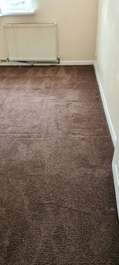 dark brown carpet living room 2