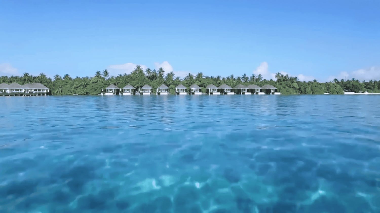 imgi 51 2025 02 22 22h06m02s771