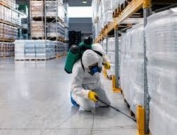 inbound8048797476564738542