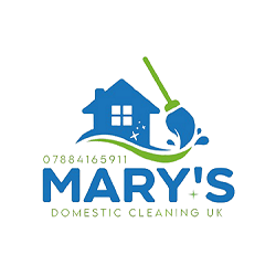 mary domestic cleaning 1