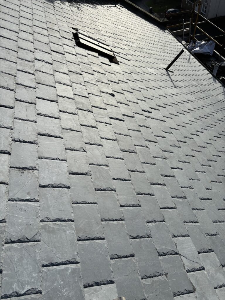 roof 1 768x1024