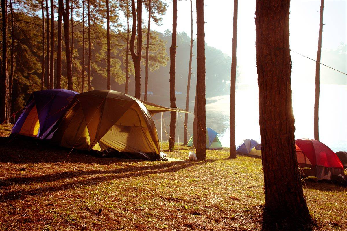 Campsites in the UK