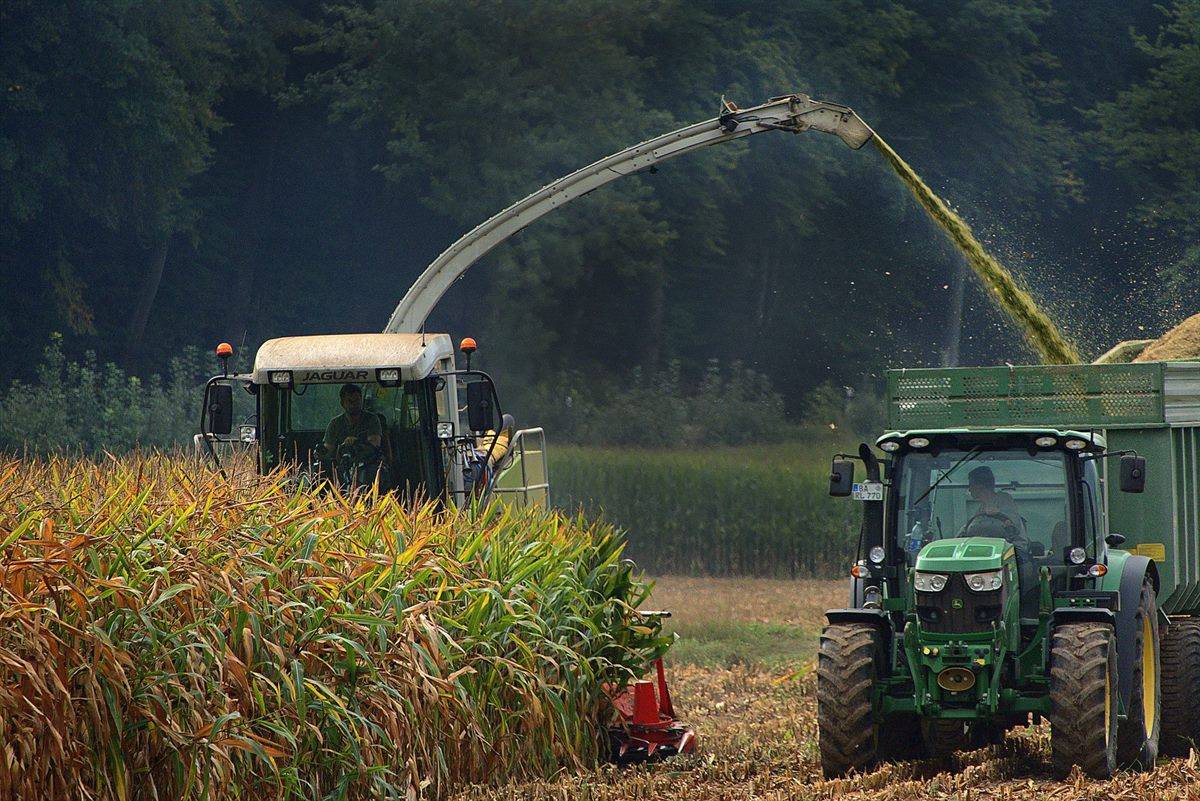 Farmers in the UK