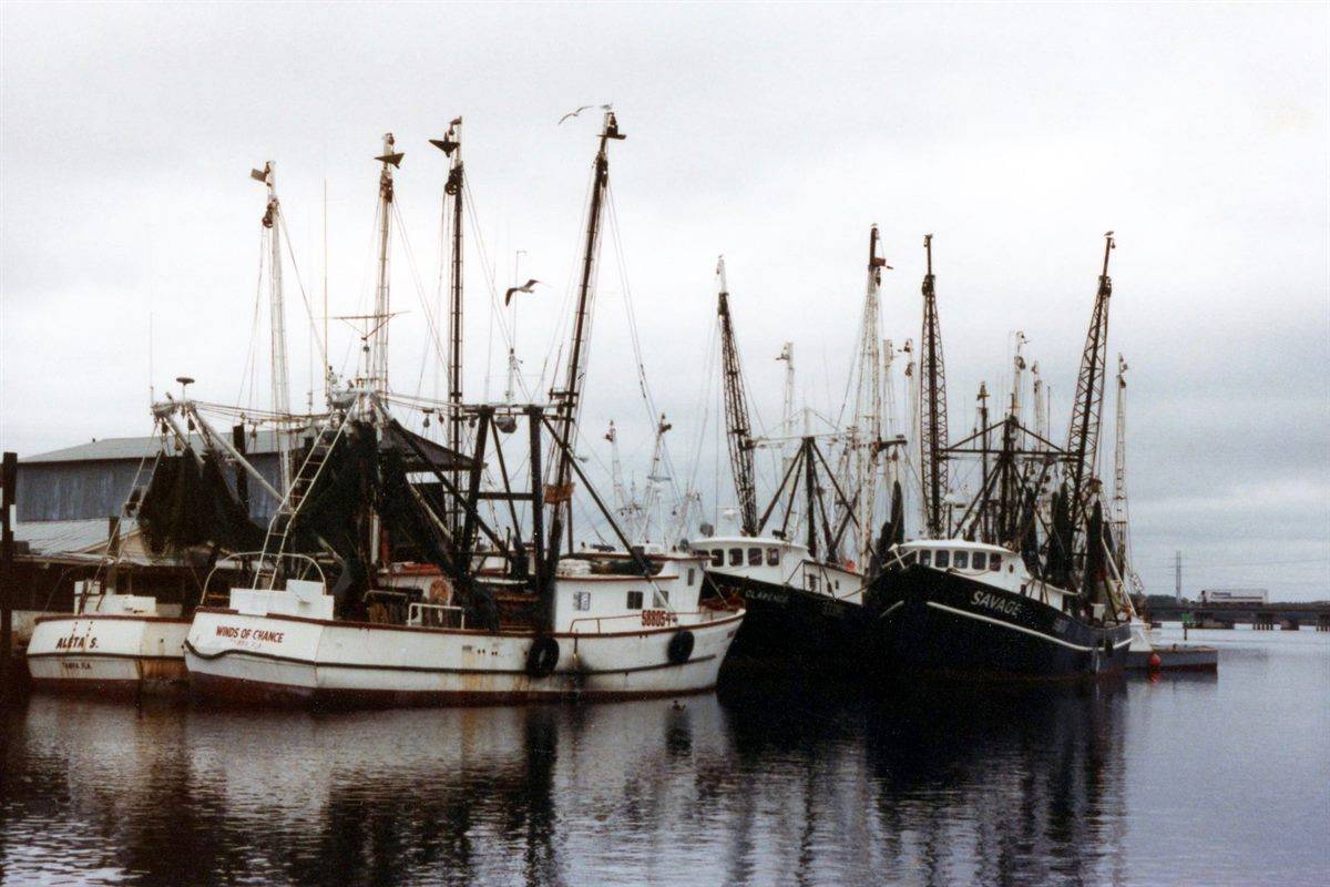 Fisheries in the UK