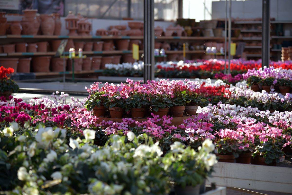 Garden Centres in the UK