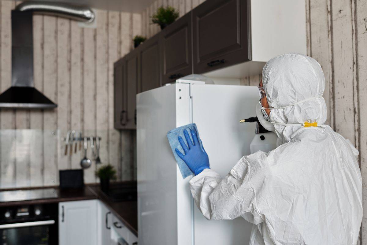 Pest Control in the UK