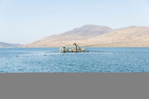 Inverlussa Mussels