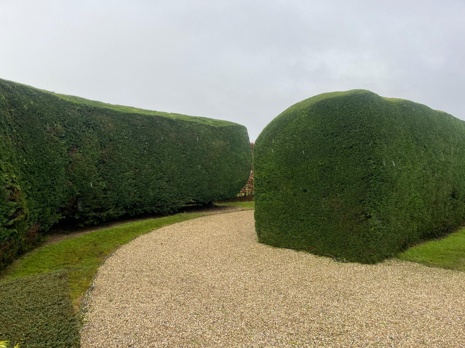 Chichester Tree Solutions