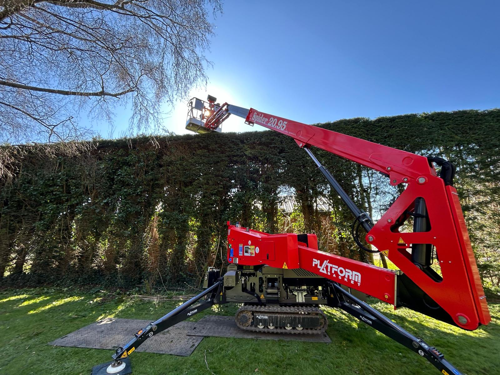 Chichester Tree Solutions