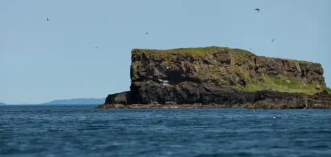 Tiree Sea Tours