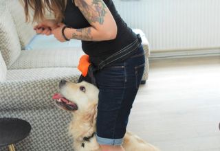 Bonded Behaviour Training
