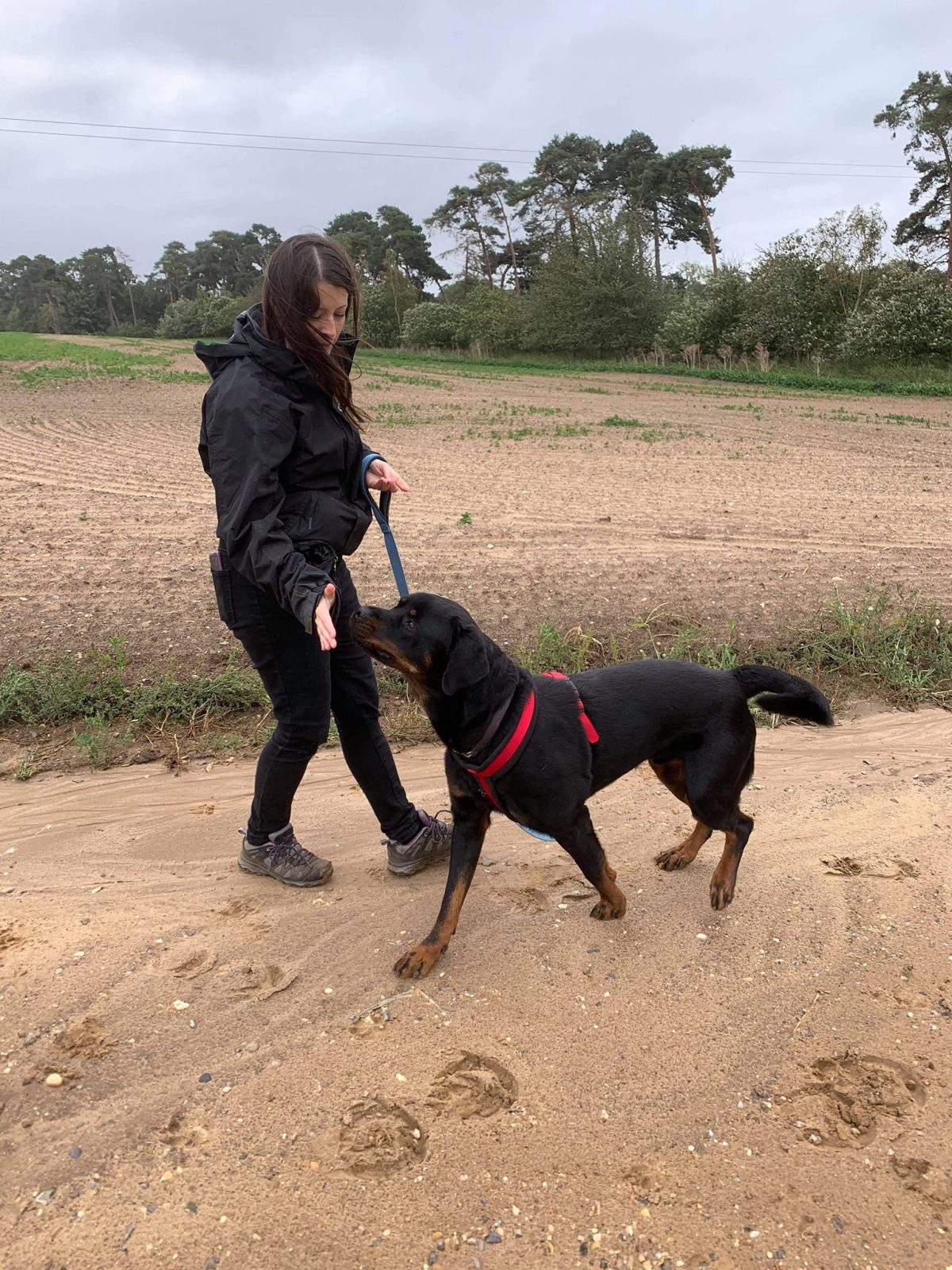 Bonded Behaviour Training