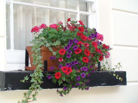 Cherry Court Hotel
