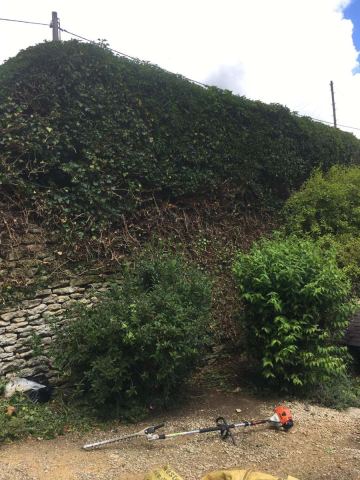 James Watts Tree & Garden Services