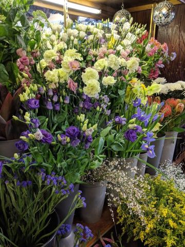 Florabunda