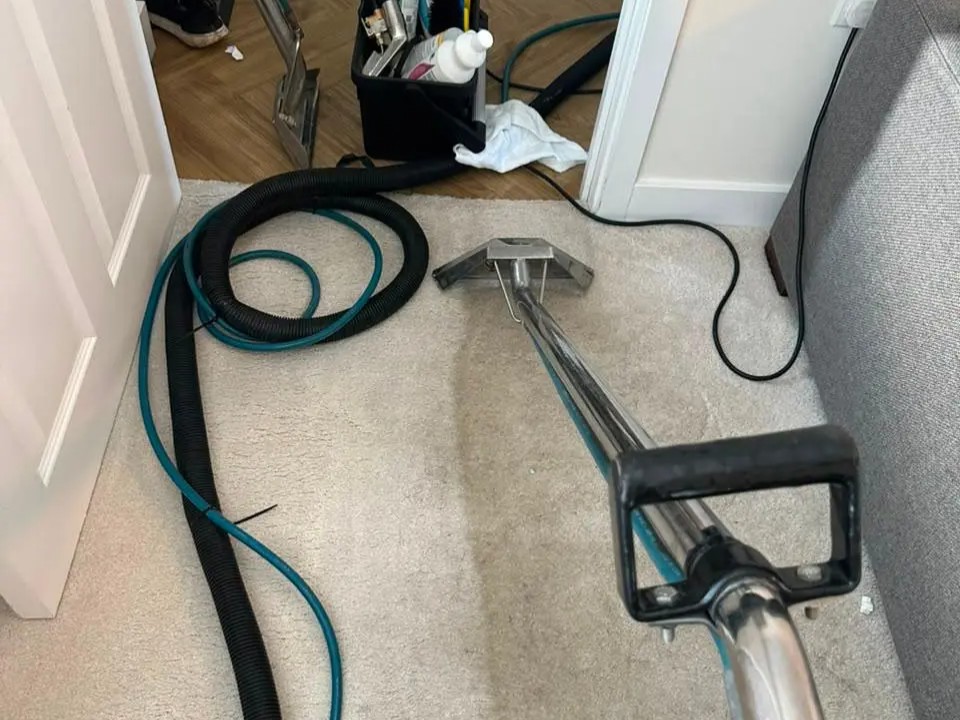 Prime Carpet Cleaning — photo 2