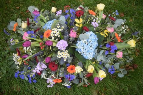 Flowers by Nattrass