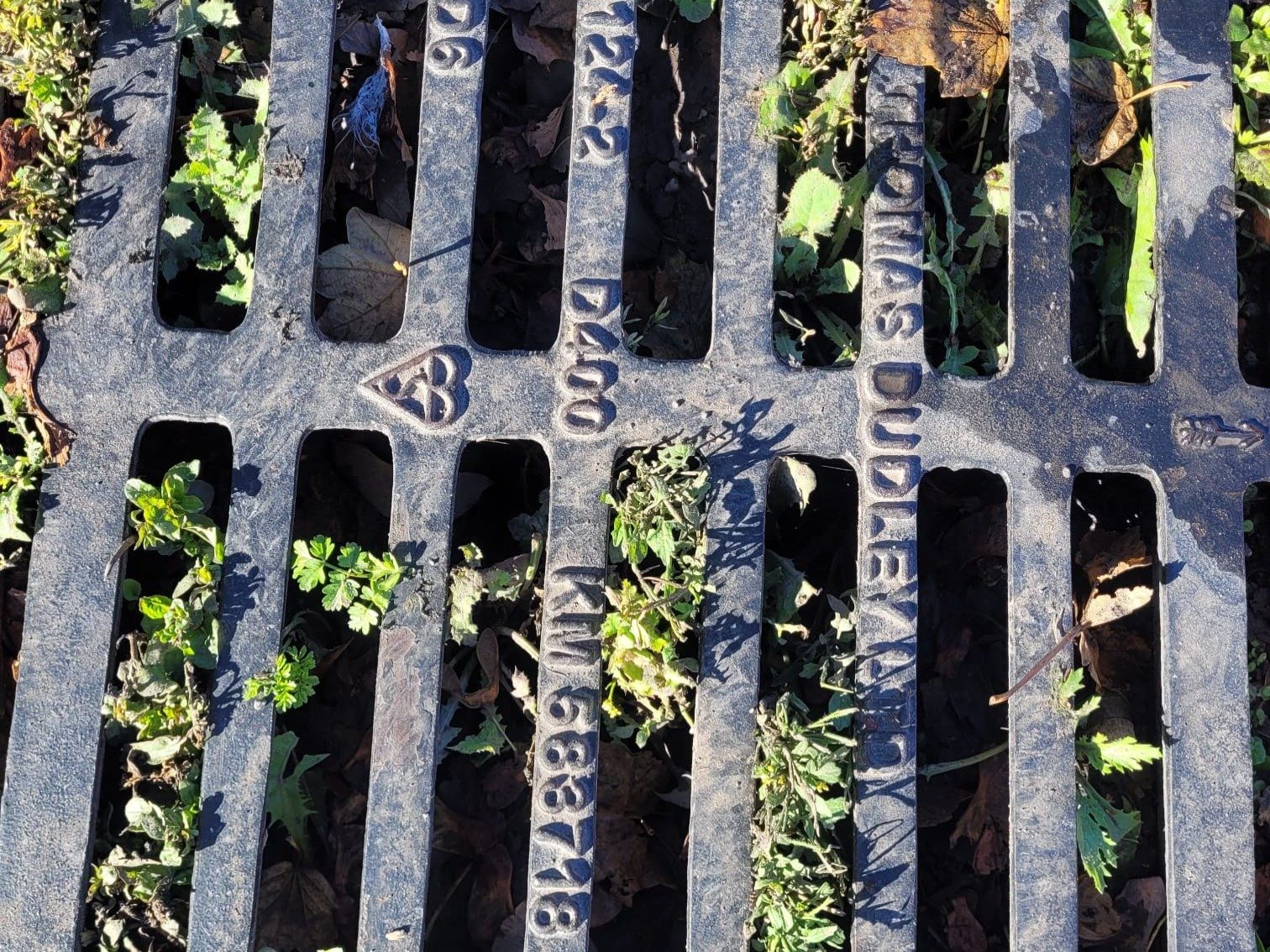 MZR Drains — photo 4