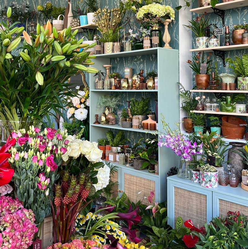 Peak Flowers