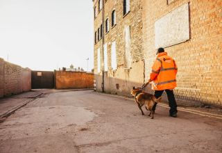 Region Security Guarding