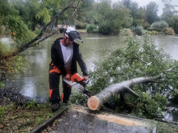Charlie Connor Tree Surgery — photo 2