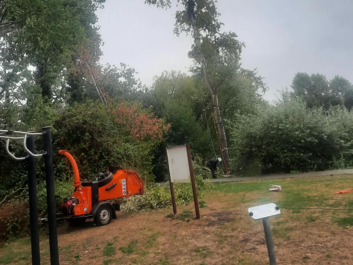 Charlie Connor Tree Surgery