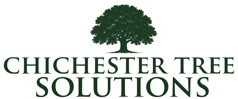Chichester Tree Solutions logo
