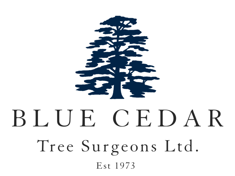 Blue Cedar Tree Surgeons logo