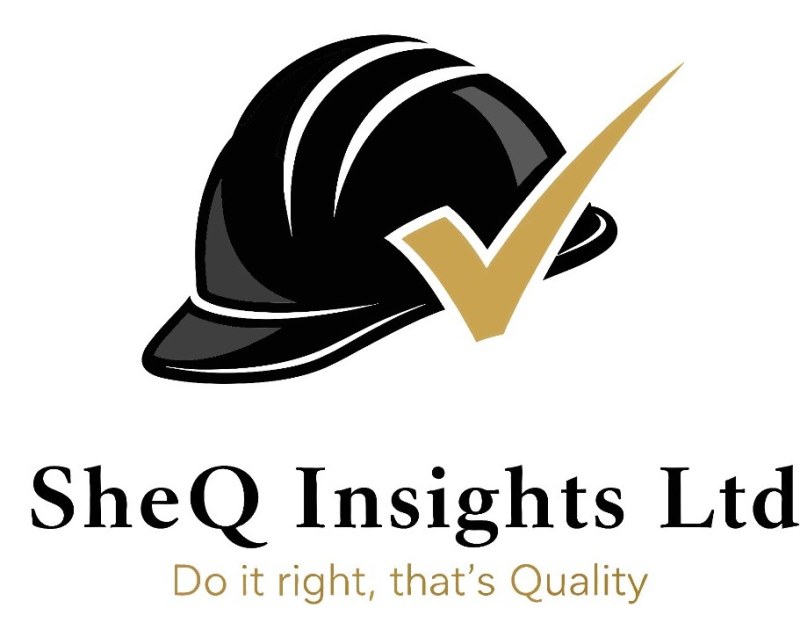 SheQ Insights Ltd logo