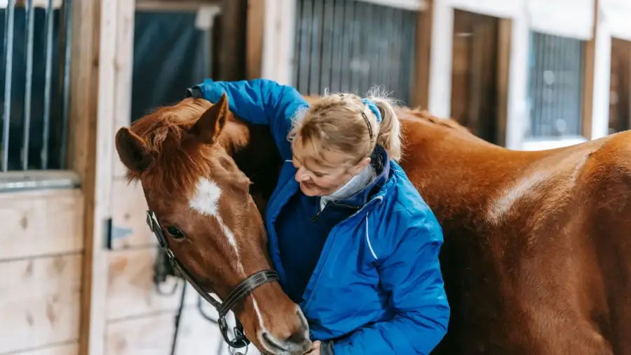 County Durham Equine Specialist Erin Dixon Shortlisted for UK Small Business Award