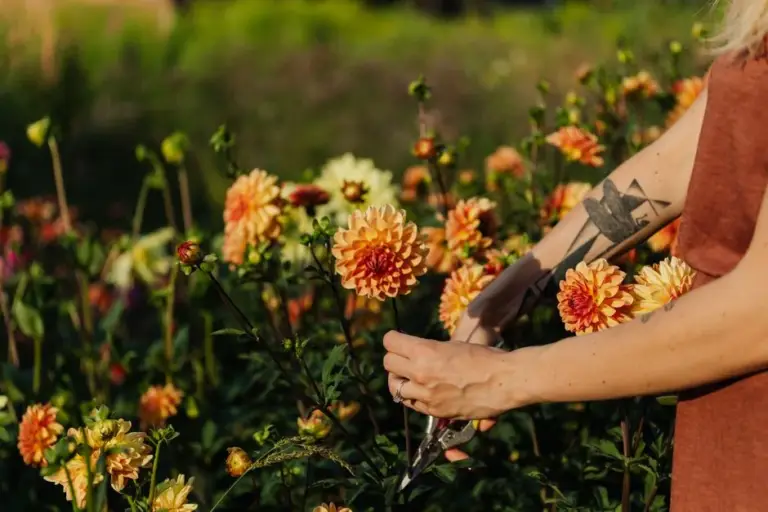 Why UK Florists Are Turning to British-Grown Flowers