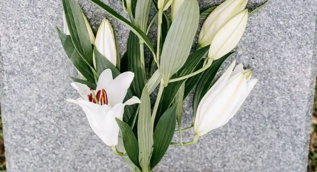 UK Funeral Regulation Is Coming: What It Means for Crematoria