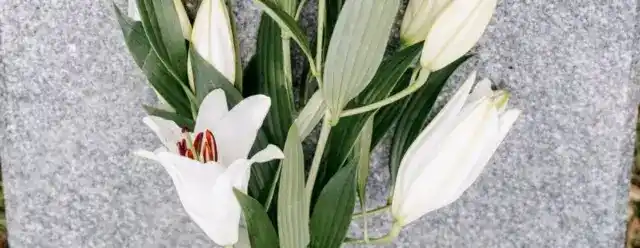 UK Funeral Regulation Is Coming: What It Means for Crematoria