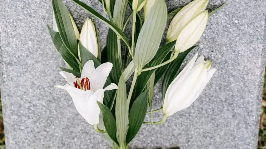UK Funeral Regulation Is Coming: What It Means for Crematoria