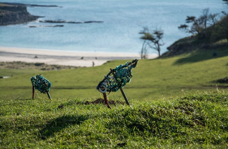 wood walk oyster catchers 768x503